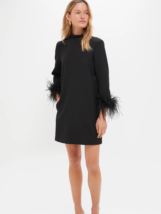 Tuckernuck Dresses & Skirts - Tuckernuck Black Feather-Cuff Mock Neck Mini Dress